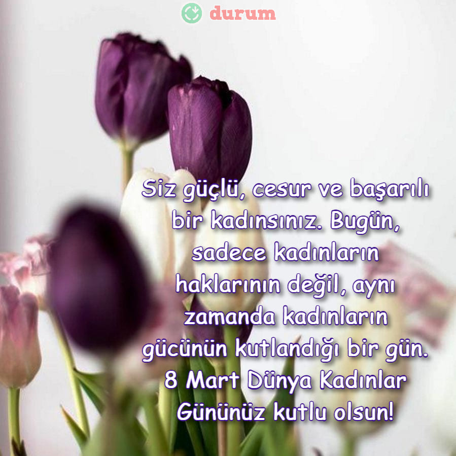 Öğretmene 8 mart tebrikleri indir