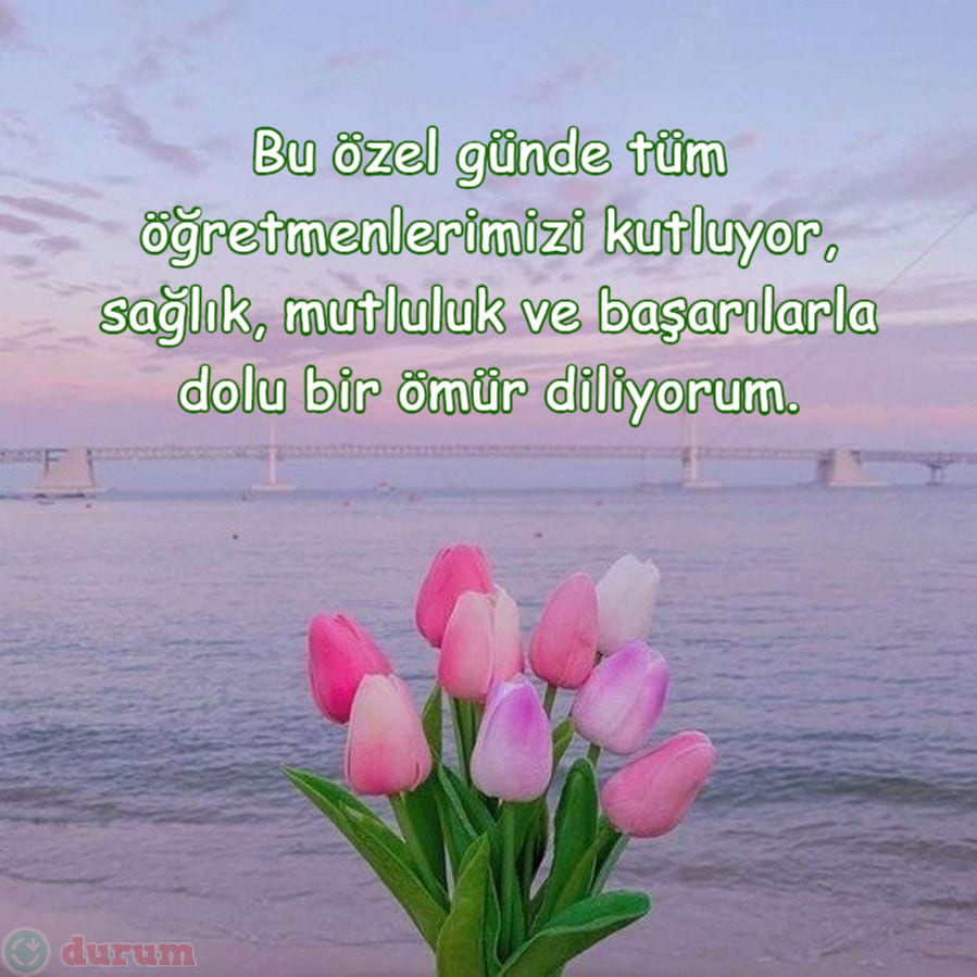 Öğretmene 8 mart tebrikleri uzun