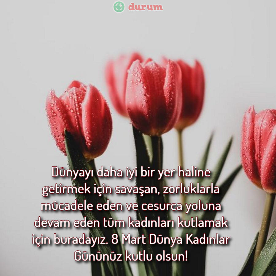 Öğretmene 8 mart tebrikleri