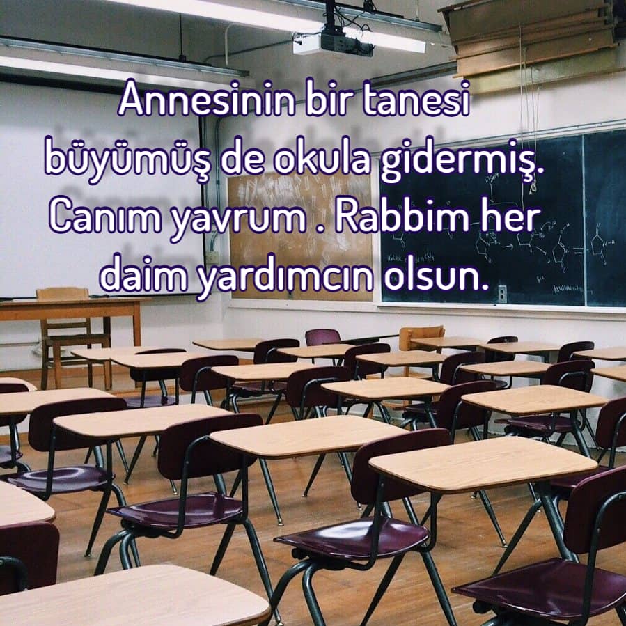 Okul ile ilgili sözler
