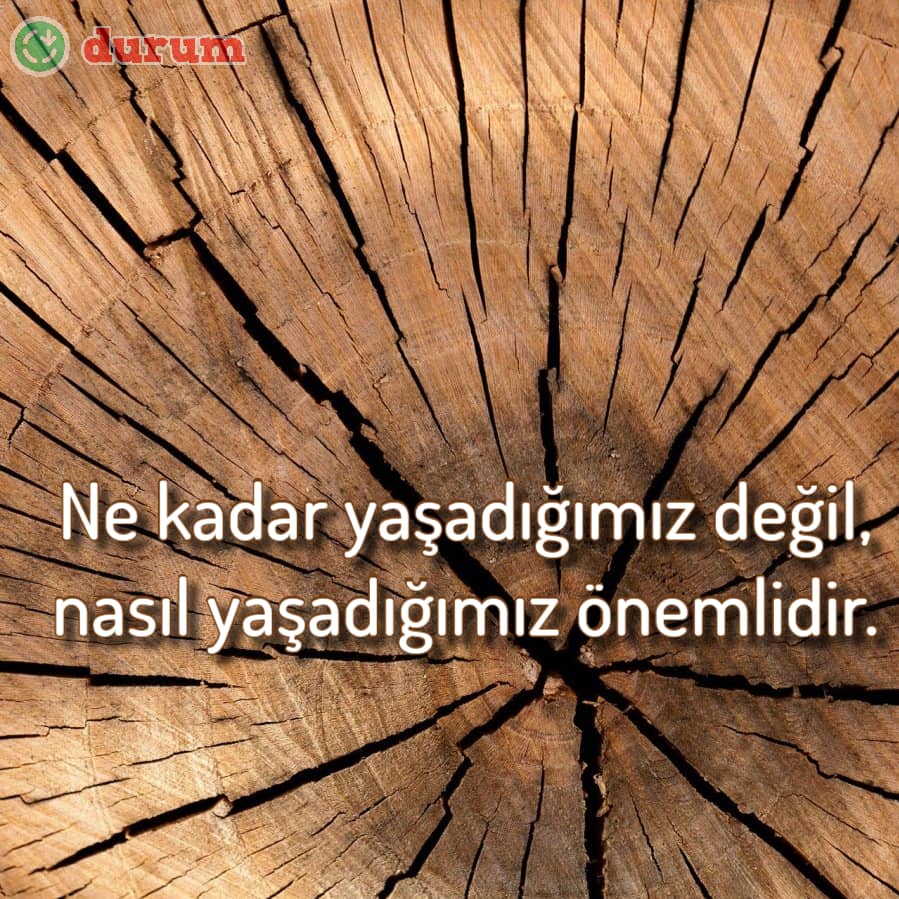 Özlü Sözler