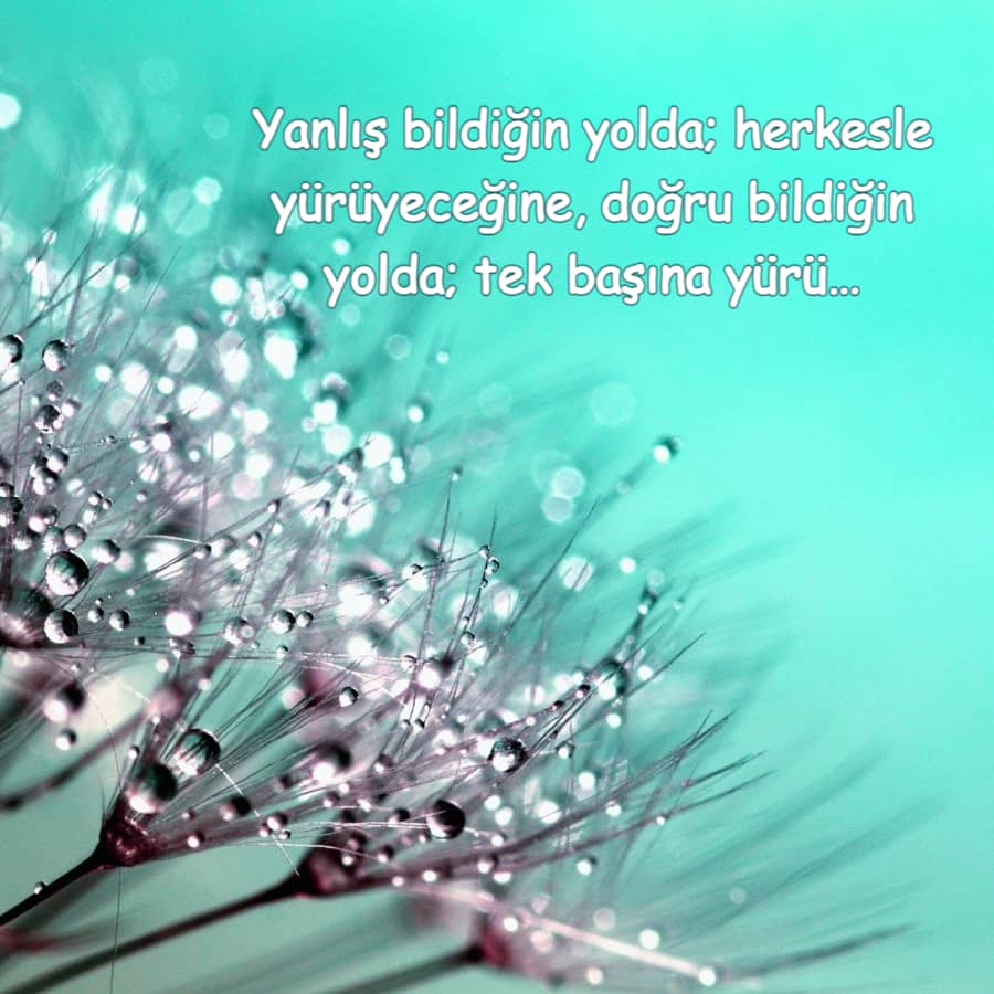 Özlü Sözler