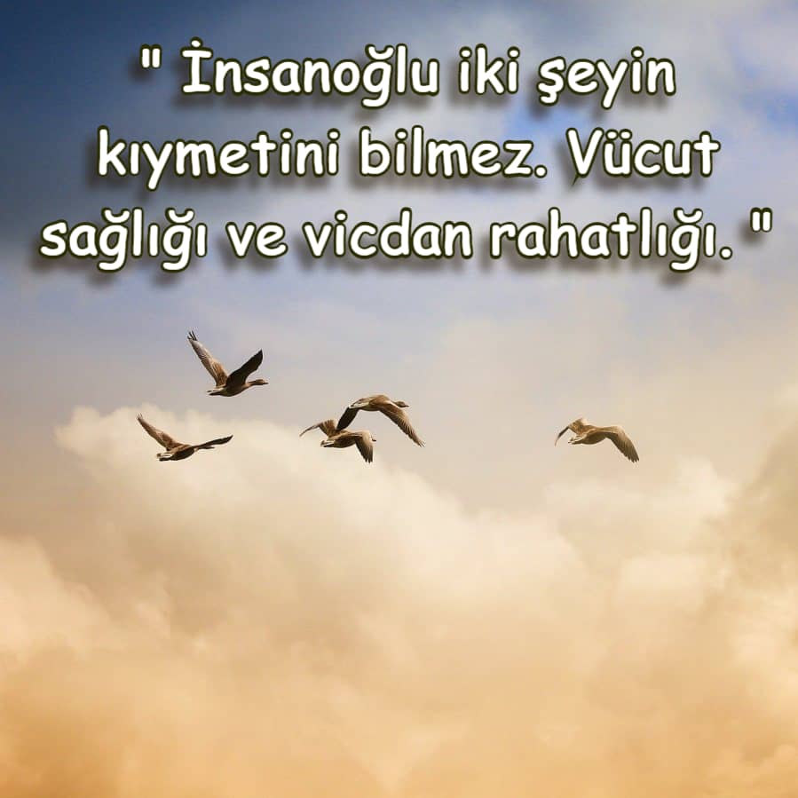 Peygamberimiz Hz. Muhammed (S.A.V)'in Sözleri