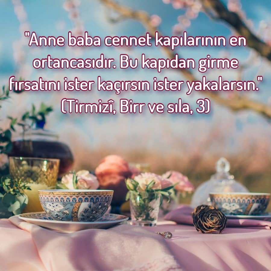 Peygamberimiz Hz. Muhammed (S.A.V)'in Sünnetleri