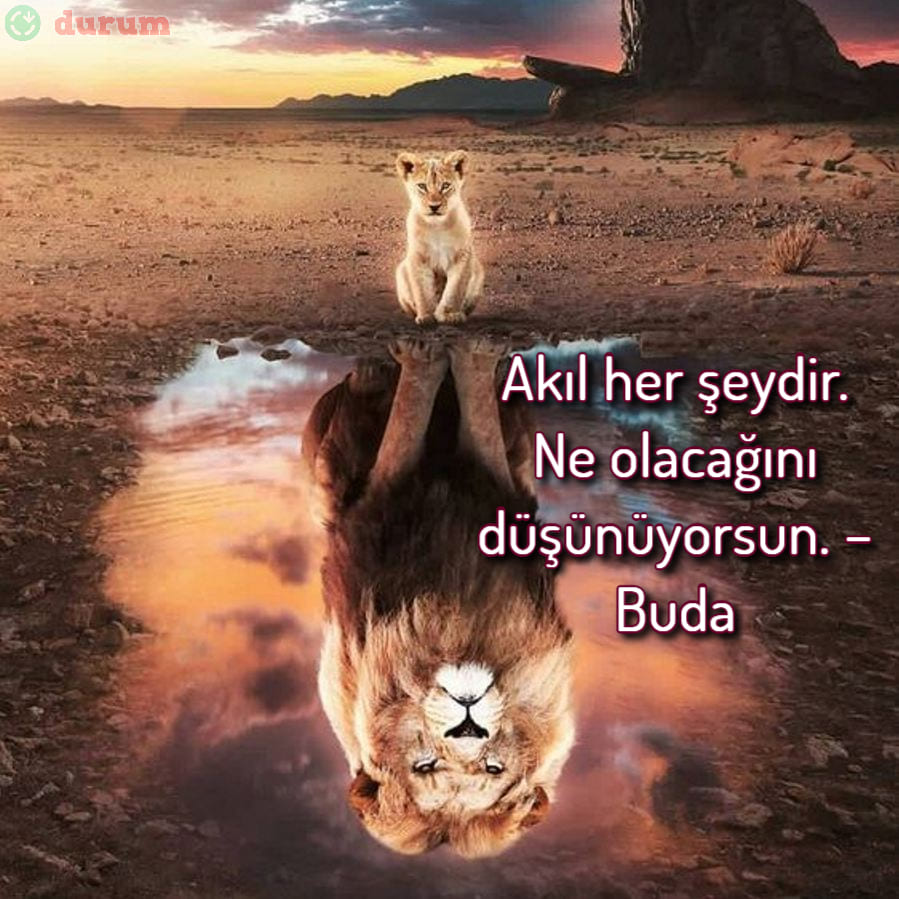 Pozitif Düşünme Sözleri