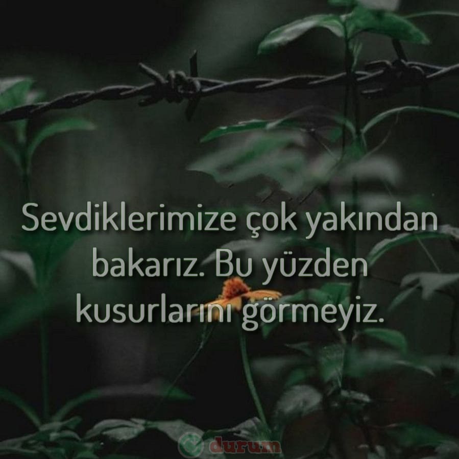 Ramiz Dayı Sözleri indir
