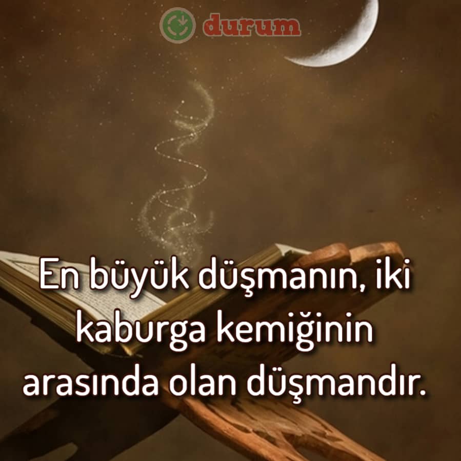 Reimli Hz. Muhammed Sözleri İndir