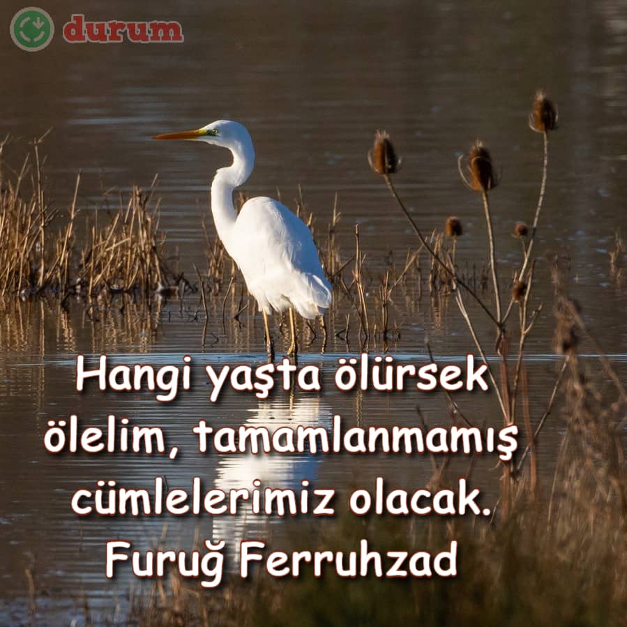 Resimli anlamlı sözler
