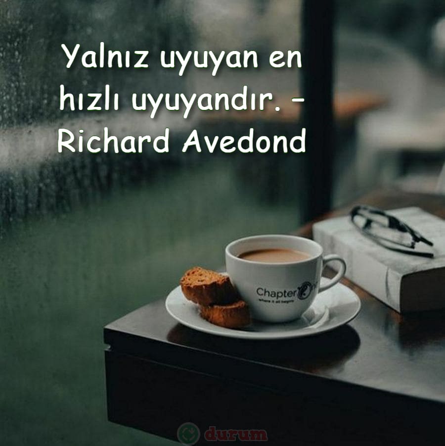 Resimli Bekarlık Sözleri