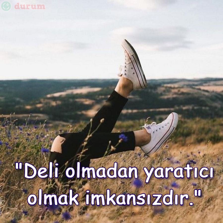 Resimli Deli Sözler anlamli