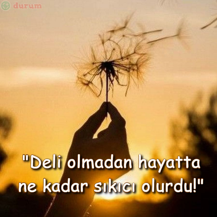 Resimli Deli Sözler resimli
