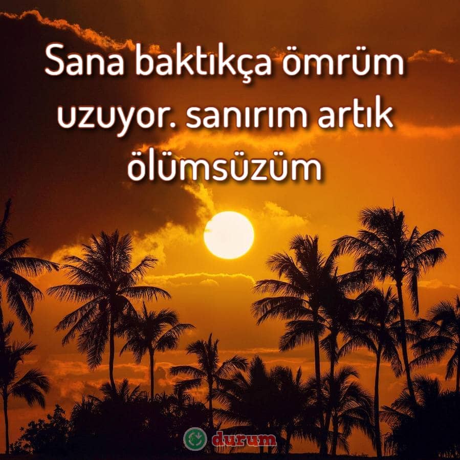 Resimli Instagram Yorumları
