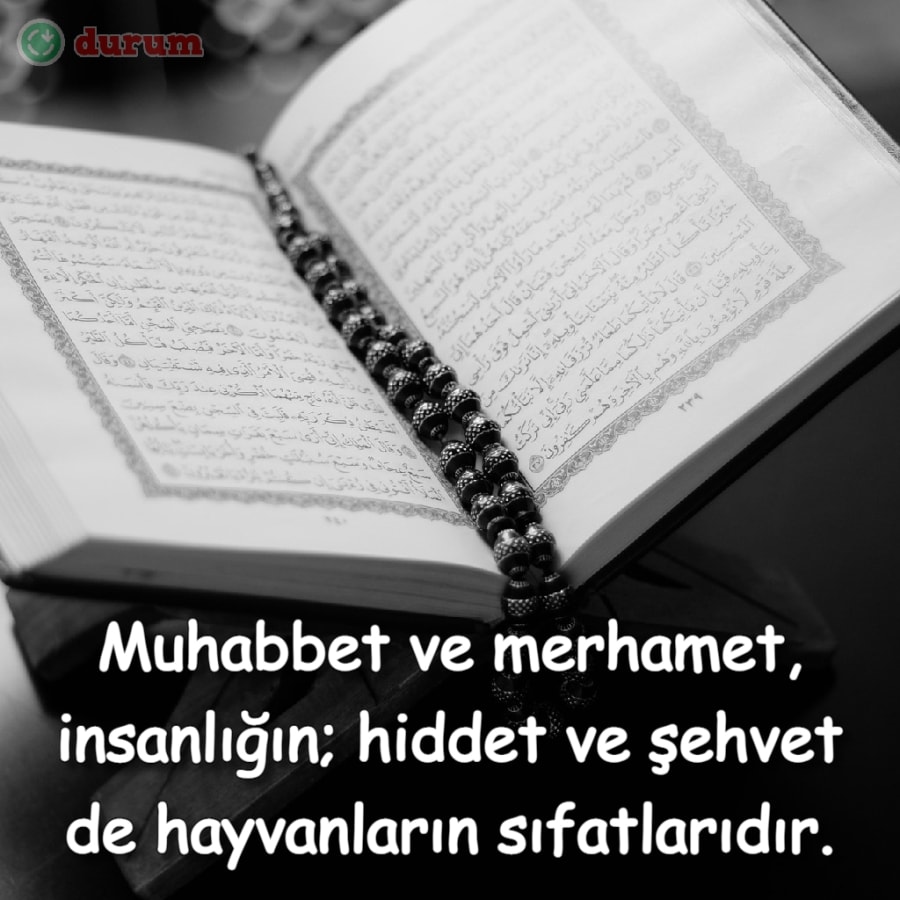 Resimli Mevlana Sözleri 2021