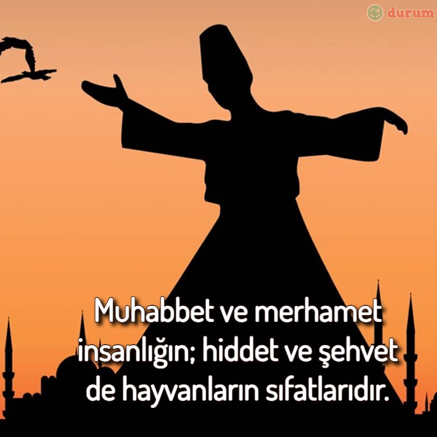 Rəsimli Mevlana Sözleri
