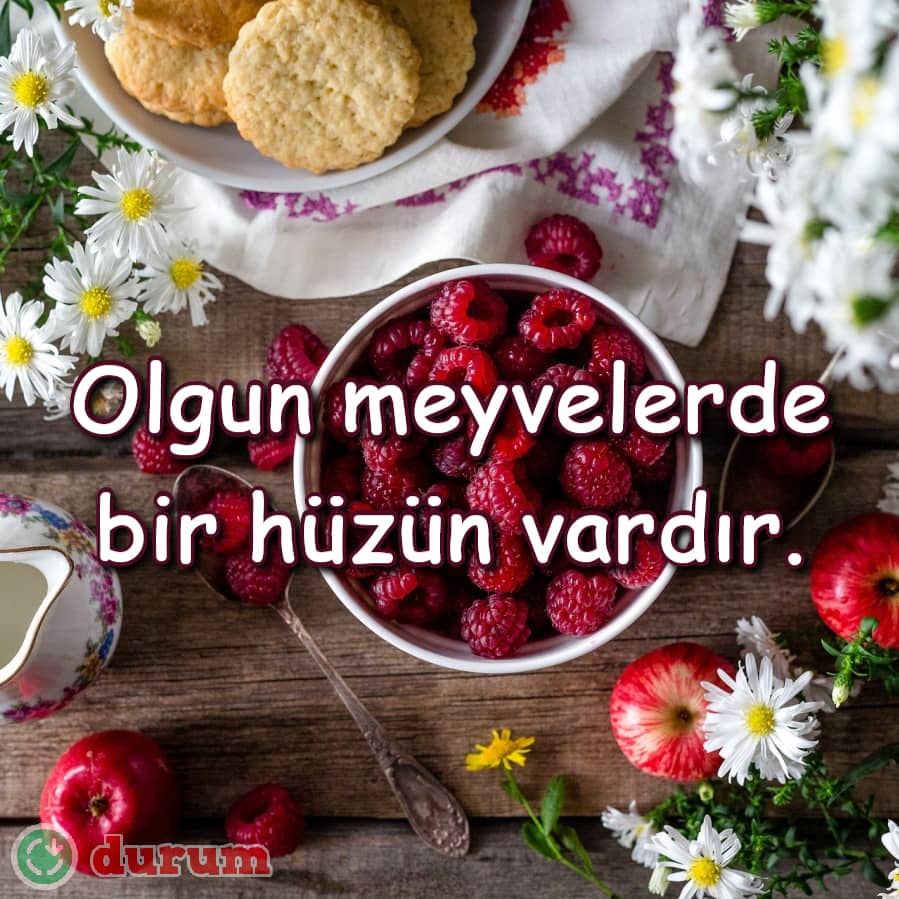 Resimli meyve ile ilgili sözler