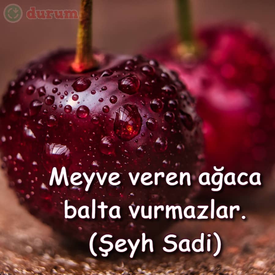 Resimli meyve sözleri