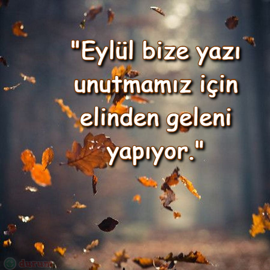 Resimli Sonbahar Sözleri