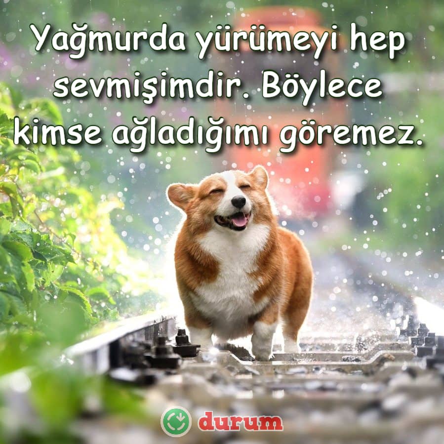 Resimli yağmur sözleri