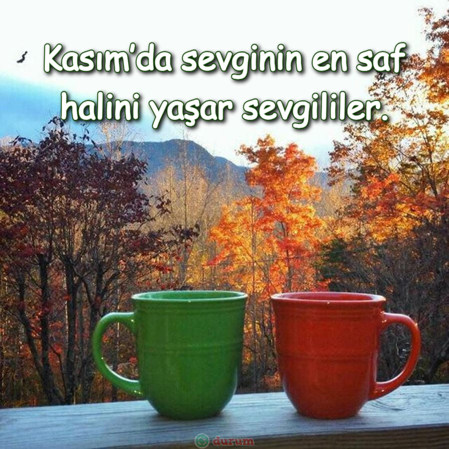 Romantik Kasım Sözleri