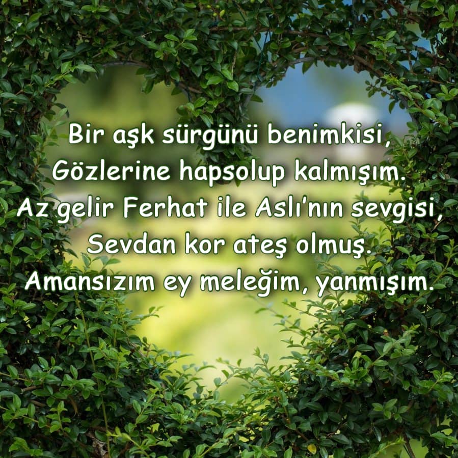 Romantik Şiir