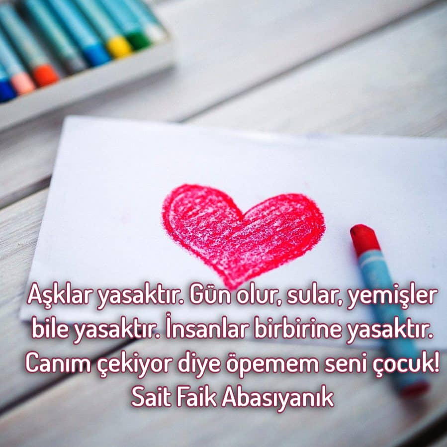 Sait Faik Abasıyanık