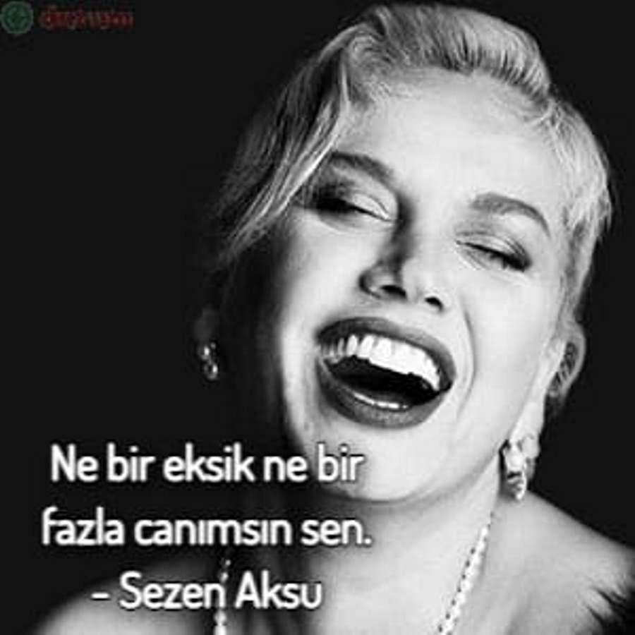 Şarkılardan Alıntılar anlamli