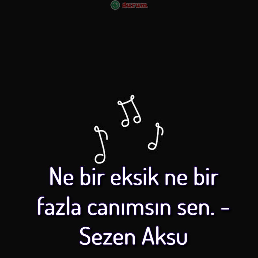 Şarkılardan alıntılar