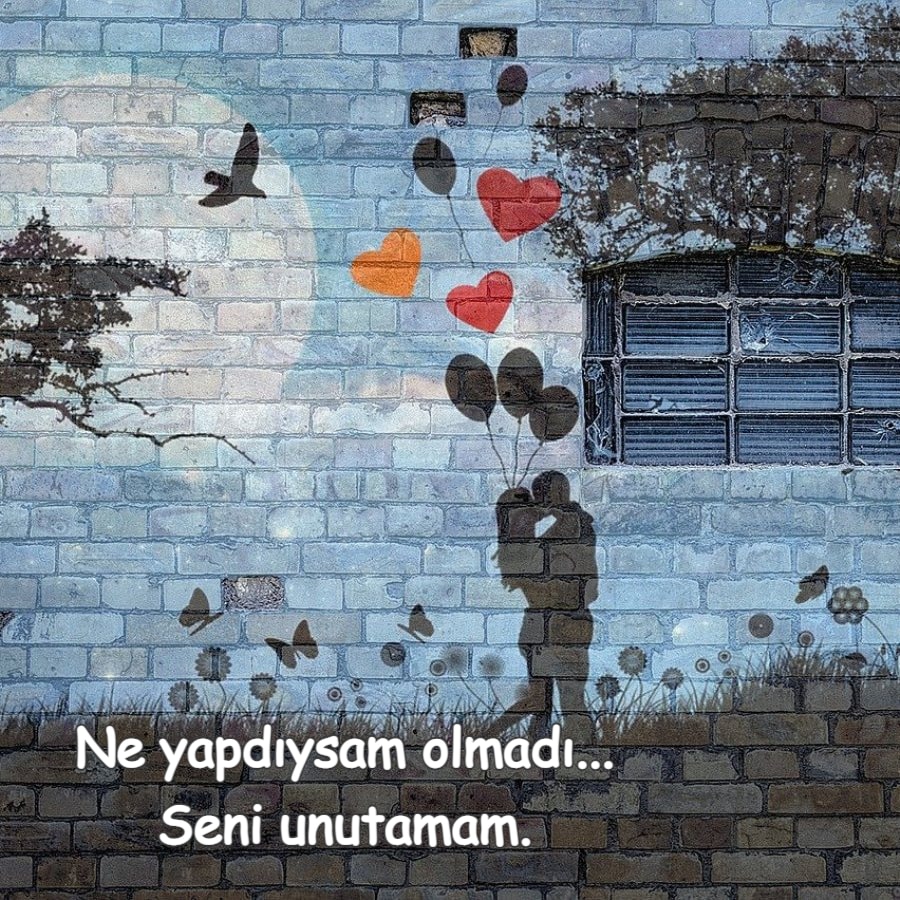 Şehane aşk resmi indir