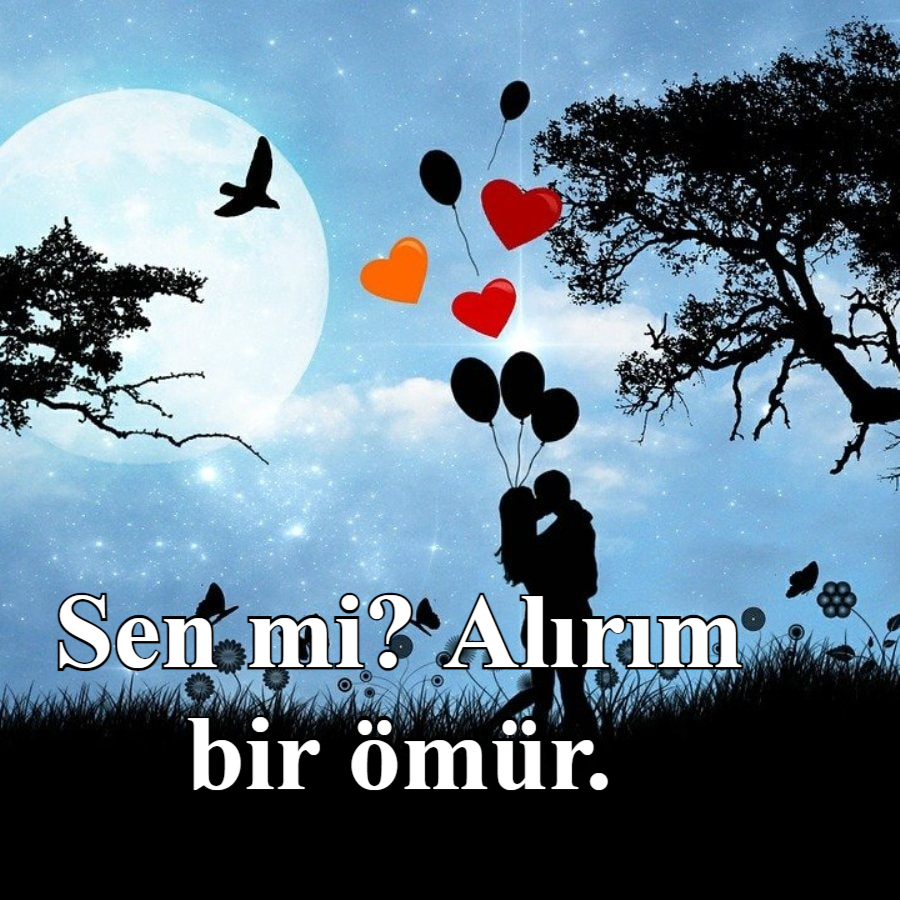 Sen mi? Alırım bir ömür.