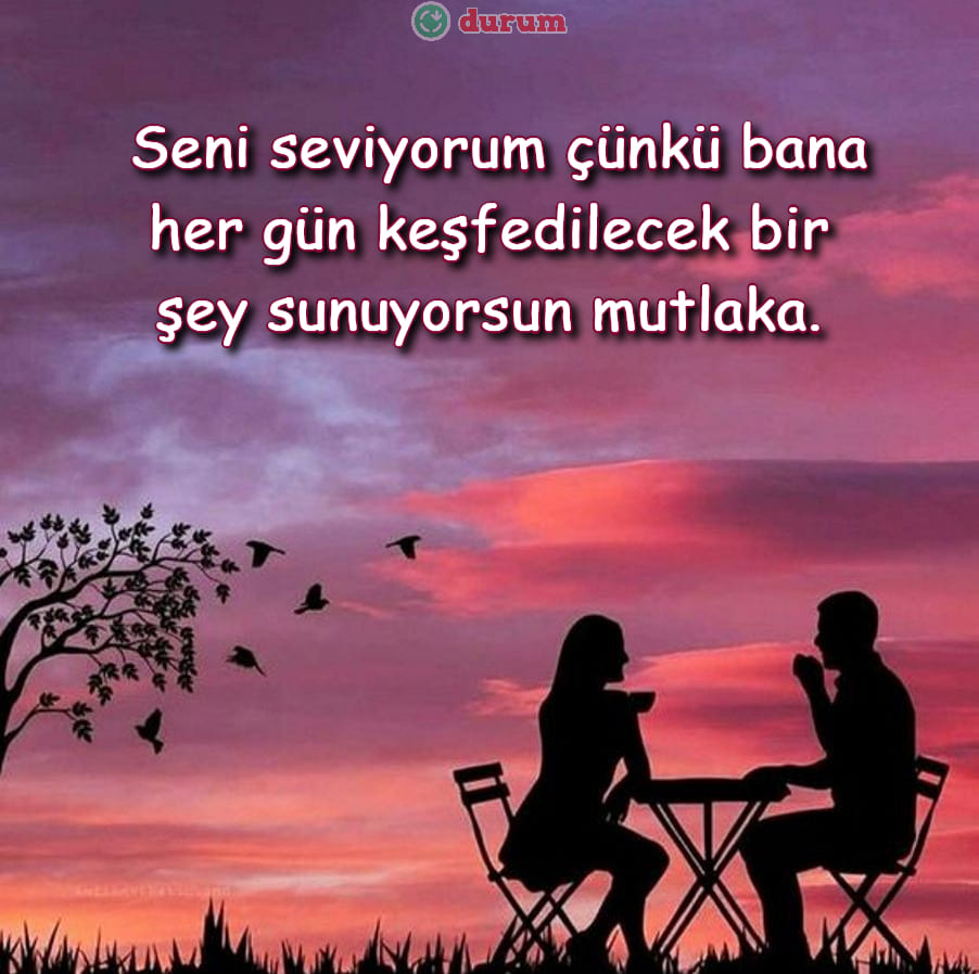 Seni Seviyorum Çünkü Mesajları kisa