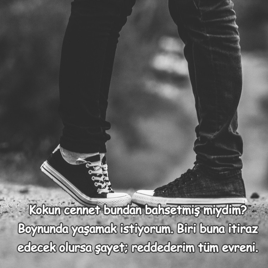 Səni seviyorum mesajları