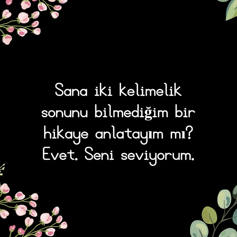 Seni seviyorum Whatsapp Durumları