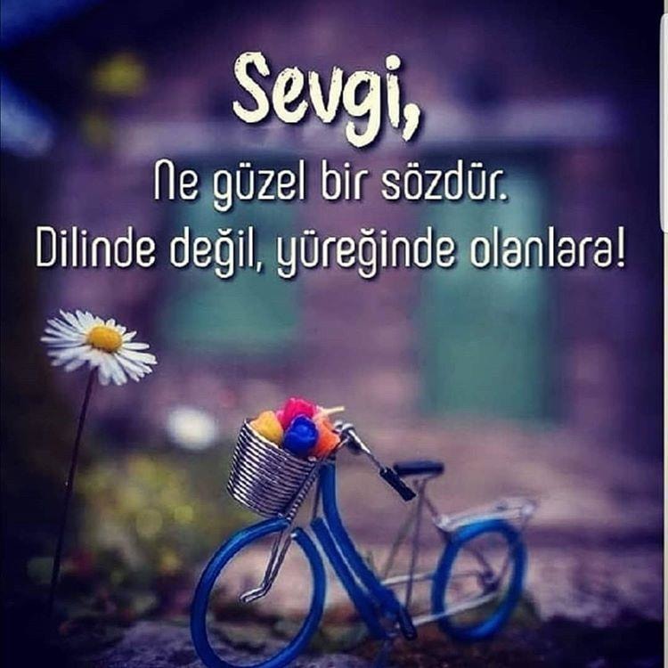 sevgi güzeldir
