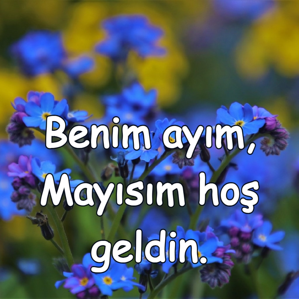 Sevgili doğduğum ay Hoş geldin.