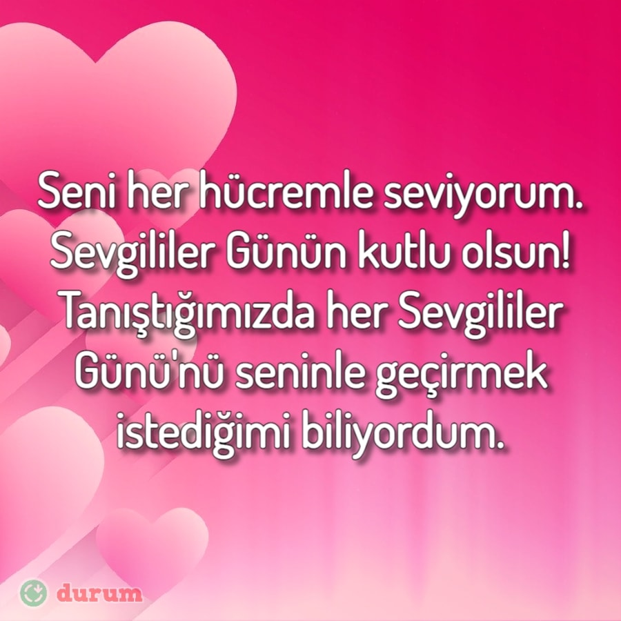 Sevgililer Günü mesajları