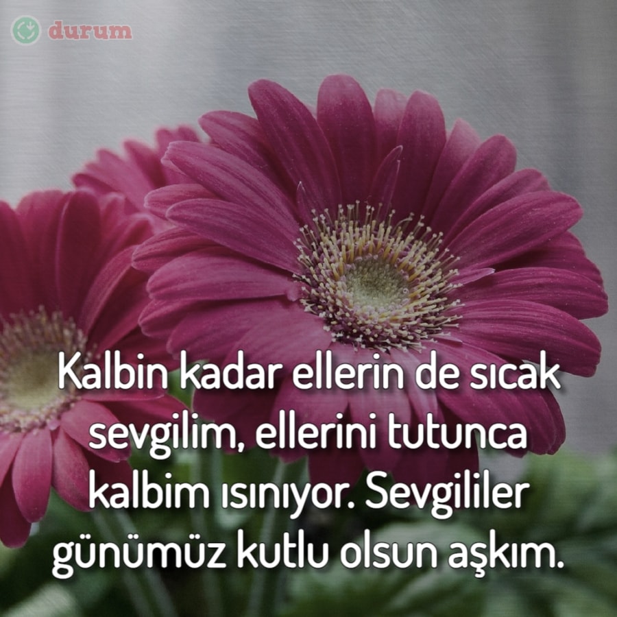 Sevgililer Günümüz kutlu olsun