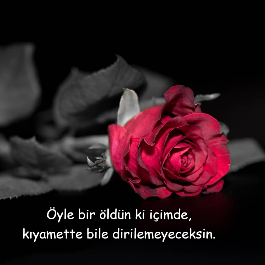 Sevgiliye Ağır sözler