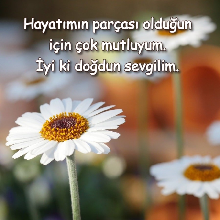 Sevgiliye En Güzel Doğum Günü Mesajı