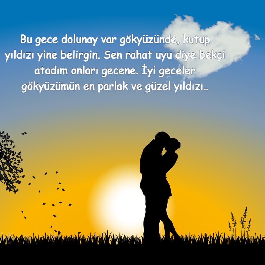 Sevgiliye Hayırlı geceler