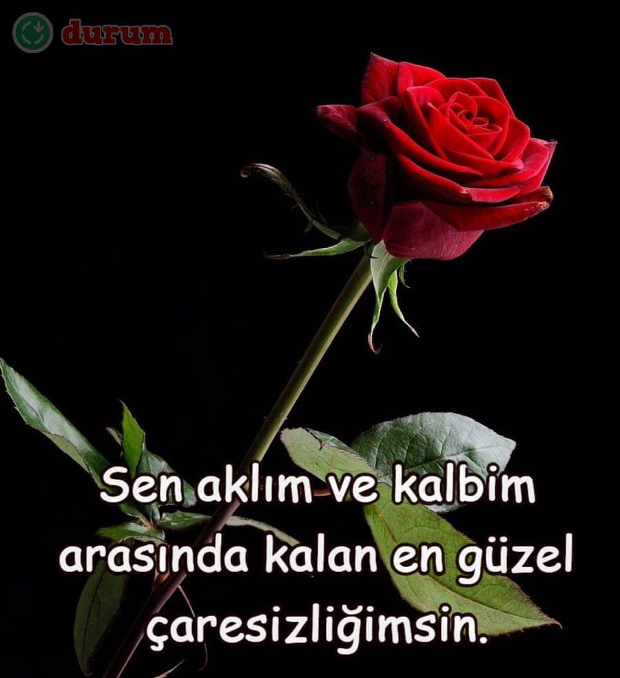 Sevgiliyle Fotoğrafın Altına Yazılacak Sözler 2022