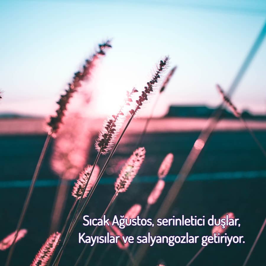 Sıcak Ağustos Ayı Sözleri