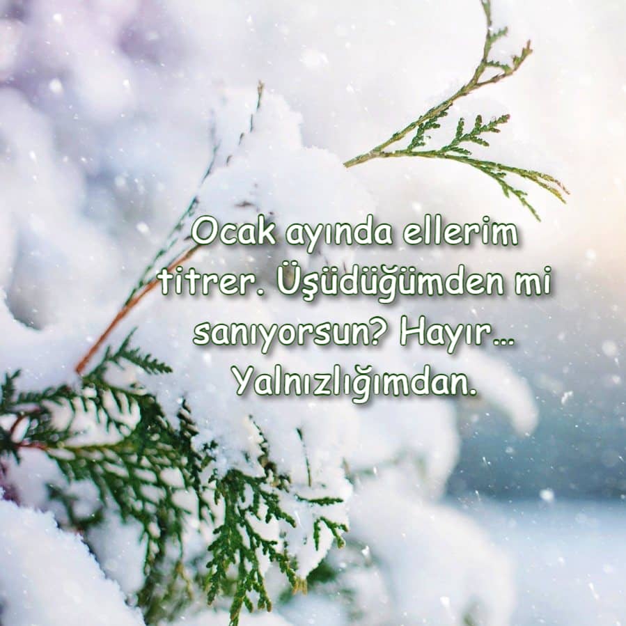 soğuk ocak ayı