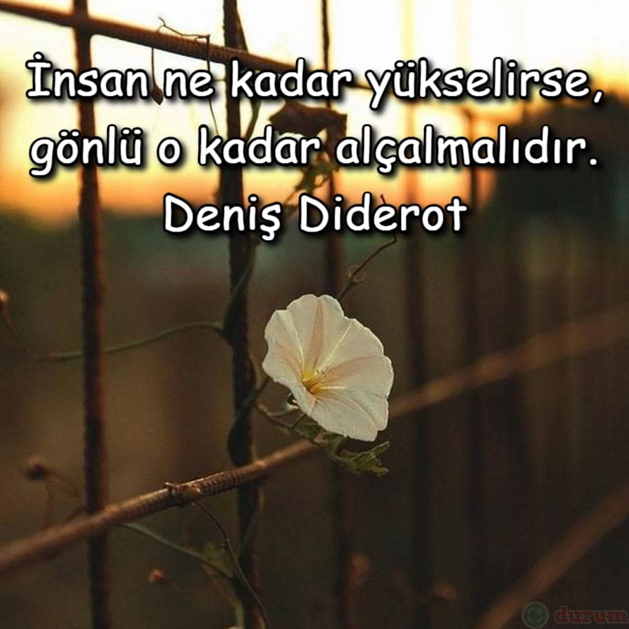 Şöhret İle İlgili Sözler kisa