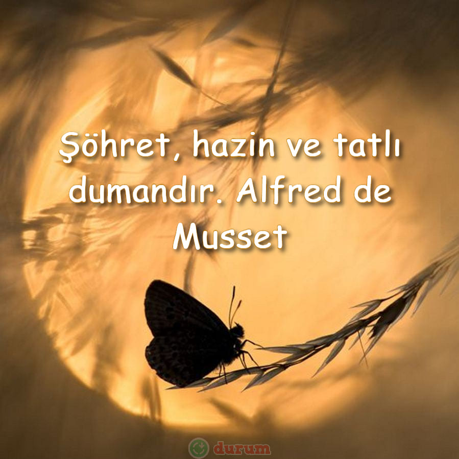 Şöhret İle İlgili Uzun Sözler