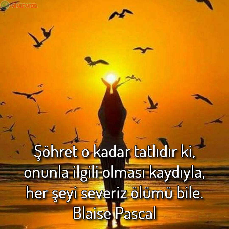 Şöhret sözleri indir
