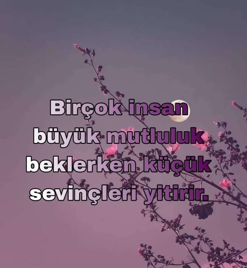 Sosyal Durum Sözleri