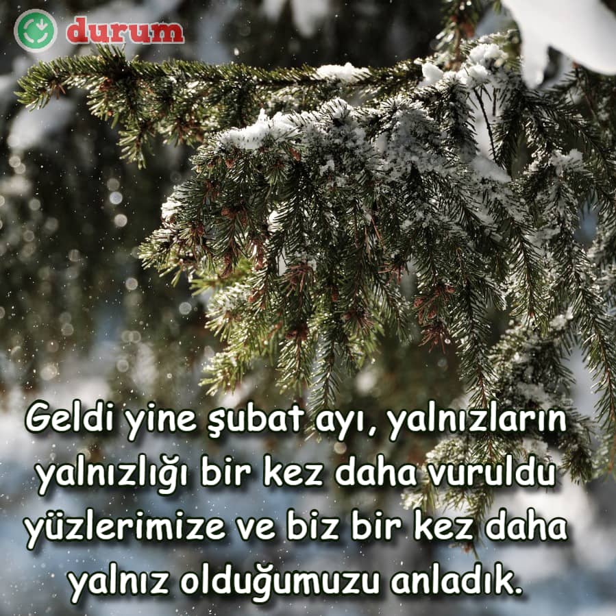 Şubat ayı anlamlı sözler