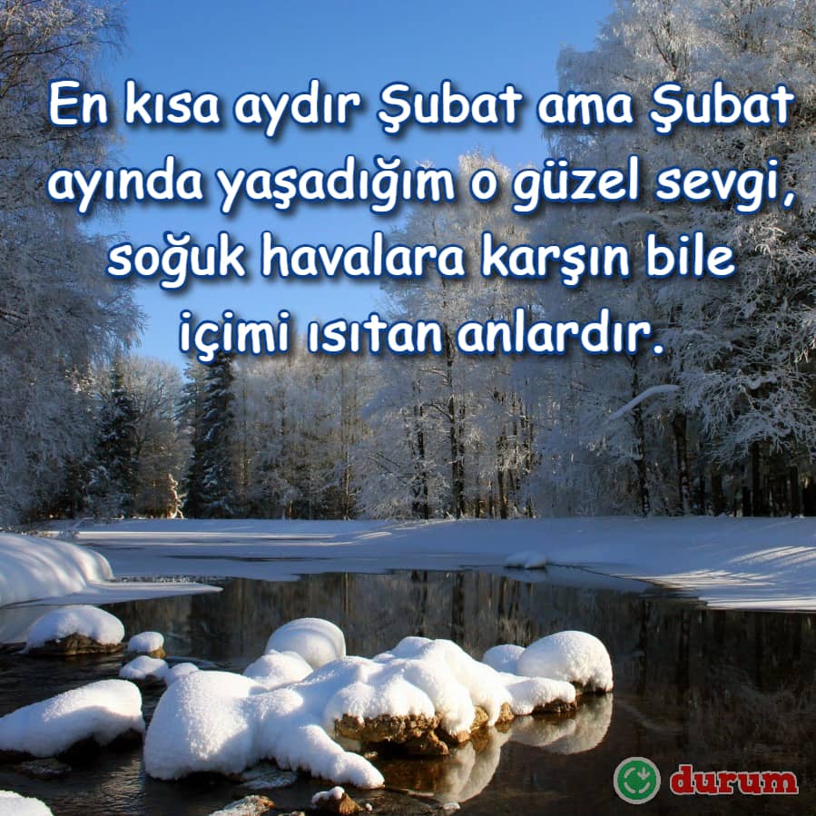 Şubat ayı kar