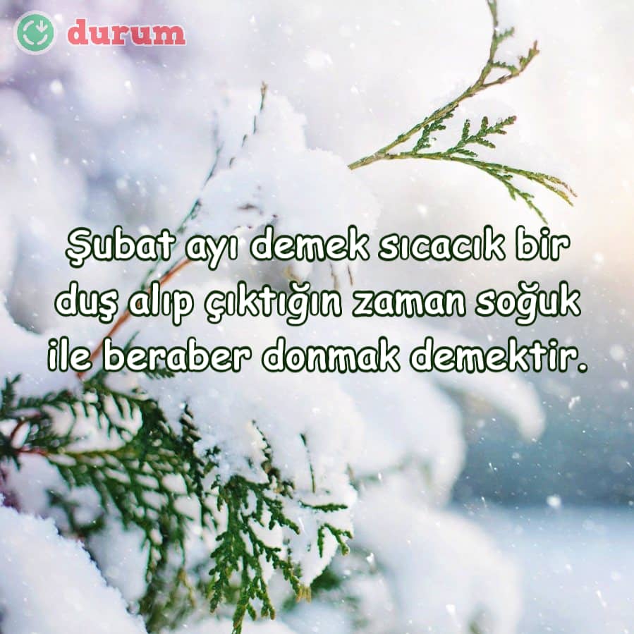 Şubat ayı ve soğuk