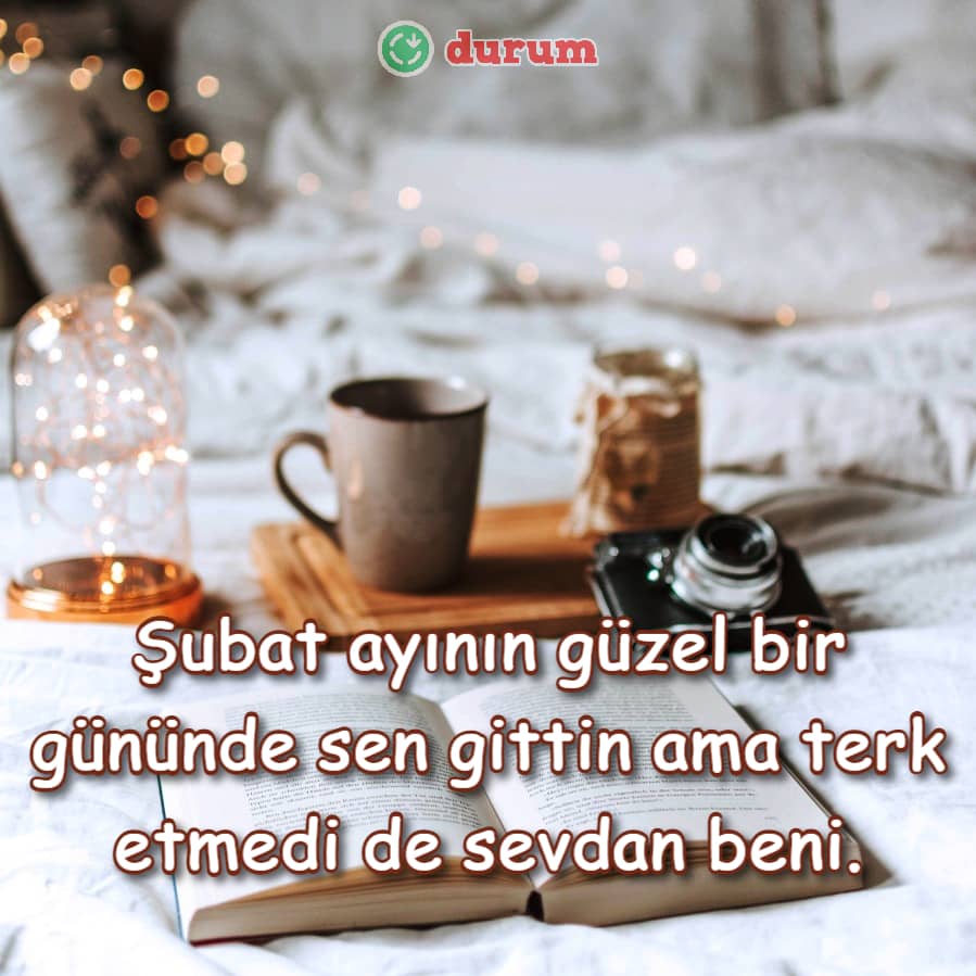 Şubat Ayı